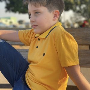 Blusa gola polo